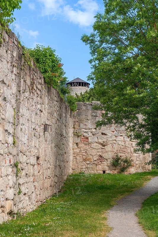 Hiking trail along medieval town wall, defence defence tower, Bad Sooden-Allendorf, Allendorf district, lawn, tree, plants, blue sky, clouds, Werra-Meissner district, Hesse, Germany