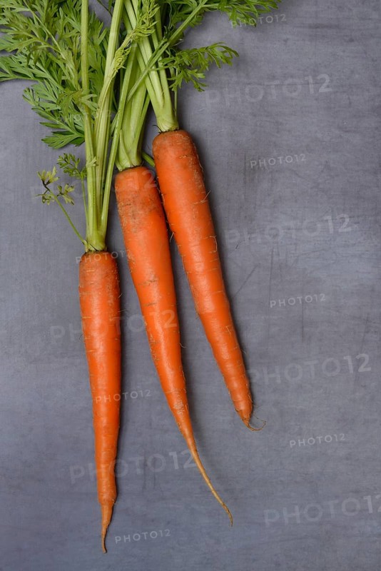 Carrots with leafy greens, Daucus carota