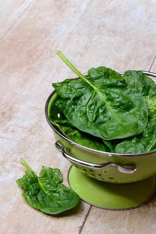 Spinach in sieve bowl, Spinacia oleracea