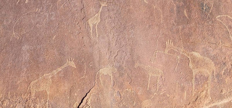 Detail, Depictions of animals on a rock slab, petroglyphs, rock engravings, Twyfelfontein, Kunene, Namibia