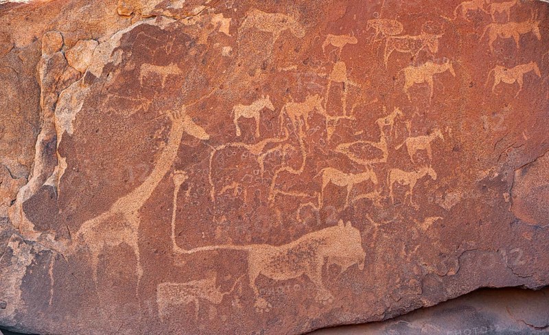 Depictions of animals on a rock slab, lion slab, rock carvings, rock engravings, Twyfelfontein, Kunene, Namibia