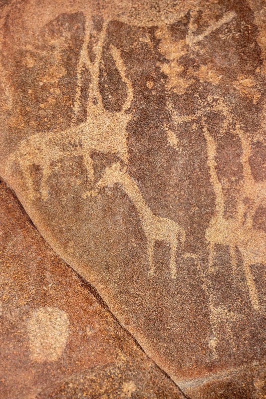Detail, Depictions of animals on a rock slab, petroglyphs, rock engravings, Twyfelfontein, Kunene, Namibia