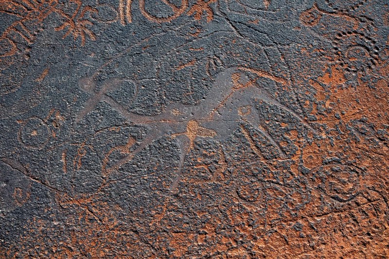 Detail, Depictions of animals and patterns on a rock slab, petroglyphs, rock engravings, Twyfelfontein, Kunene, Namibia