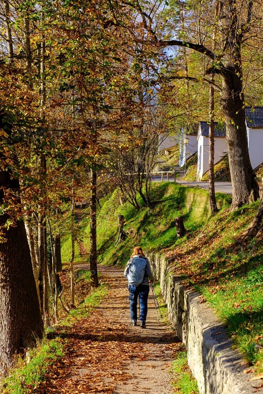 Philosophenweg, Garmisch-Partenkirchen, Werdenfelser Land, Upper Bavaria, Bavaria, Germany