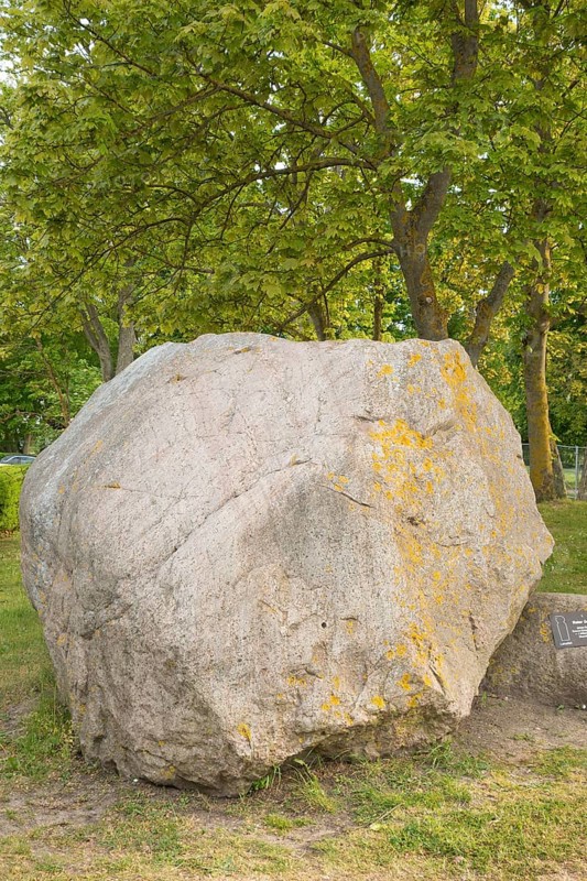 Giant boulder red gneiss (meta-granite), beach promenade, Baltic resort Kühlungsborn, West district, Rostock district, Mecklenburg-Western Pomerania, Germany