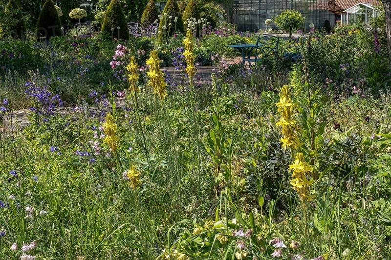 District educational garden, Burgsteinfurt, Münsterland, North Rhine-Westphalia, Germany