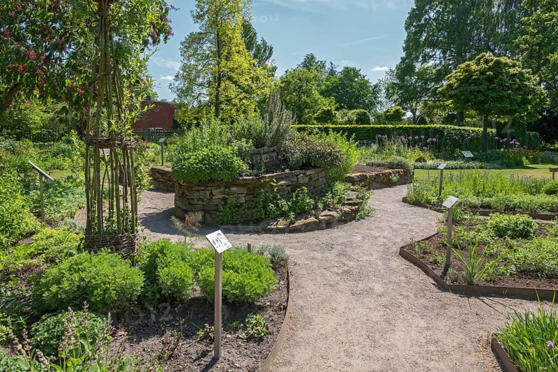 District educational garden, Burgsteinfurt, herb garden, Münsterland, North Rhine-Westphalia, Germany