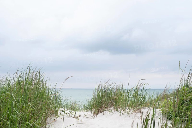 Bright sand dune with a view of the Baltic Sea, Prerow, Mecklenburg-Vorpommern, Germany