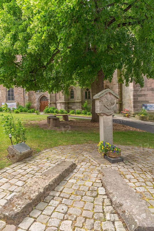 Forecourt of St Crucis Church, Bad Sooden, Allendorf, Allendorf district, memorial stone to the merciful Saint Elisabeth of Thuringia, 13th century, activity against poverty and hunger, Middle Ages, historical person, tree, Werra-Meissner district, Hesse, Germany