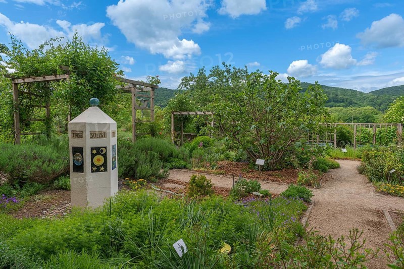 Church and Bible garden of St Crucis Church, Bad Sooden, Allendorf, Allendorf district, symbol of paradise garden with biblical flora, flower beds, fig tree, art, Bible Genesis, paths, low mountain range, blue sky, cumulus clouds, Werra-Meissner district, Hesse, Germany