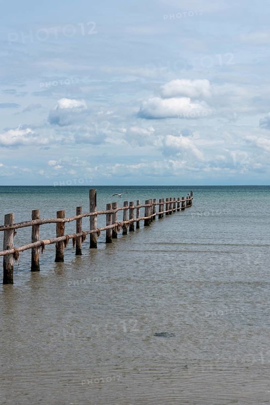 Wooden footbridge leads into the calm, blue sea under a slightly cloudy sky, Prerow, Mecklenburg-Vorpommern, Germany