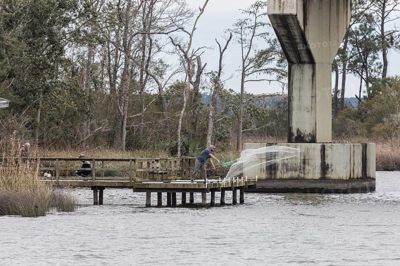 Man throwing cast net off end of wooden pier under a bridge near Fairhope, Alabama, USA