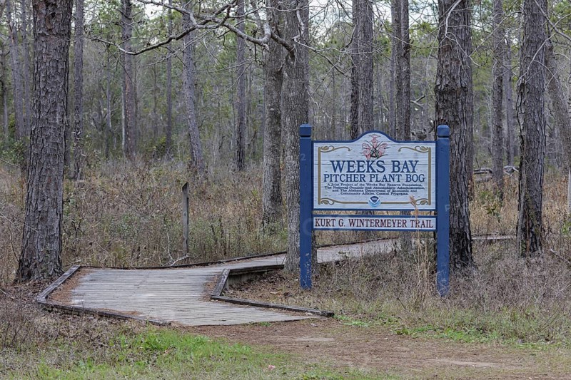 Kurt G. Wintermeyer Trail sign posted at the Weeks Bay Pitcher Plant Bog near Fairhope, Alabama, USA