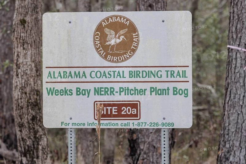 Alabama Coastal Birding Trail sign posted at the Weeks Bay Pitcher Plant Bog near Fairhope, Alabama, USA