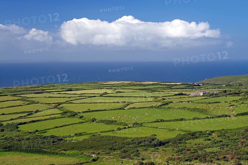 Wide green fields stretch to the coast under a cloudy sky, St Ives, Cornwall, England, United Kingdom