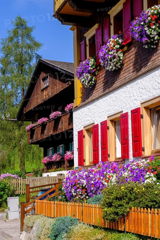 Old farmhouses in the Fontna district, Sappada, Plodn, Carnic Alps, Julian Friuli, Italy