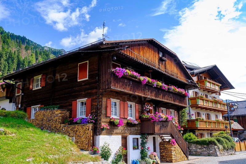 Old farmhouses in the Hoffe district, Sappada, Plodn, Carnic Alps, Julian Friuli, Italy