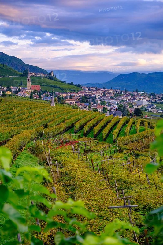 Tramin an der Weinstraße, with vineyards, Unteretsch, South Tyrol, Italy