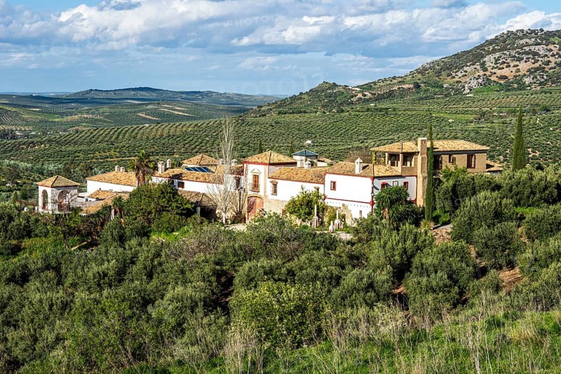 Large farm inmidst olive fields, Jaen region, near village Zuheros, Andalusia, Spain