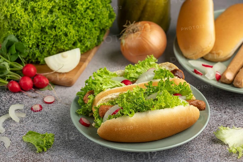 Hot dogs with lettuce, radish and onion on a plate surrounded by ingredients