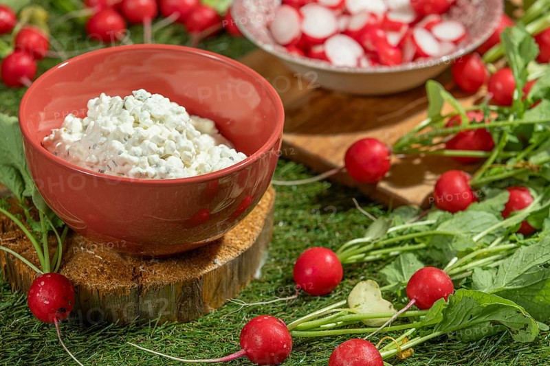 Bowl of cottage cheese surrounded by fresh radishes on a green meadow