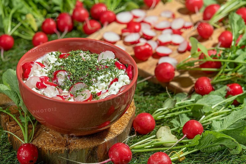 Bowl with cottage cheese, fresh radishes and herbs on a green meadow