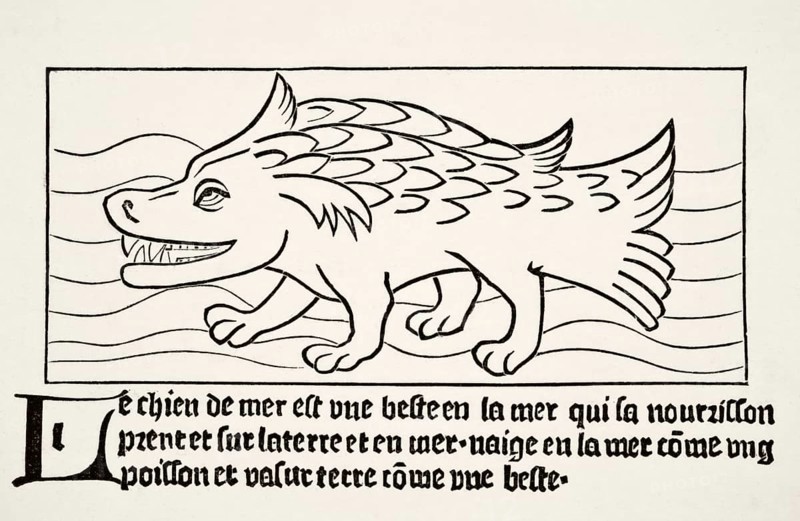 The seal after a wood engraving in Dyalogue des Creatures, published in 1482. From Science and Literature in the Middle Ages by Paul Lacroix, published in London in 1878, digital reproduction of a historical model