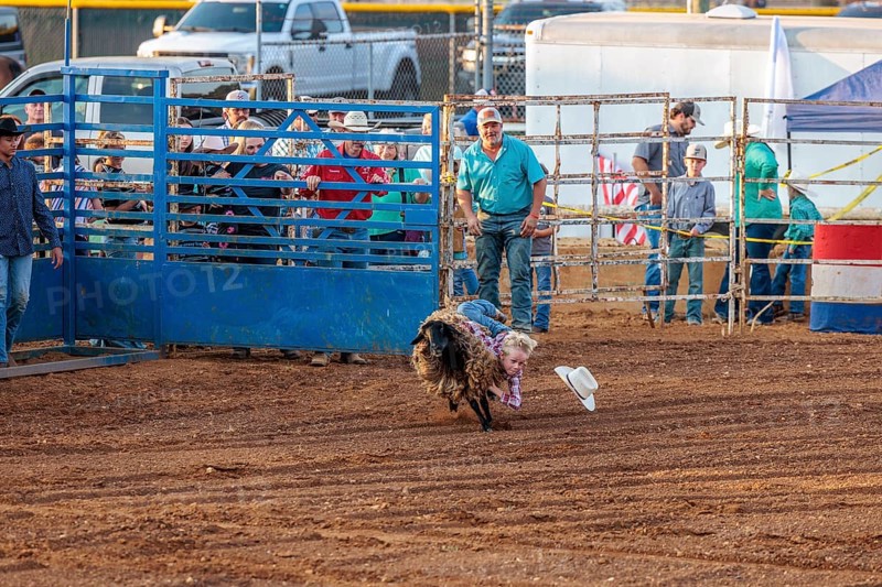 Young boy riding a sheep in a mutton busting event during the Hardin County Fair Rodeo in Savannah, Tennessee