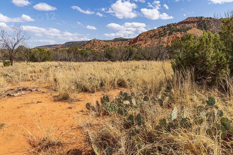 Layered rock formations rise up behind a field of grass, shrubs, and cactii at Palo Duro Canyon State Park near Amarillo, Texas