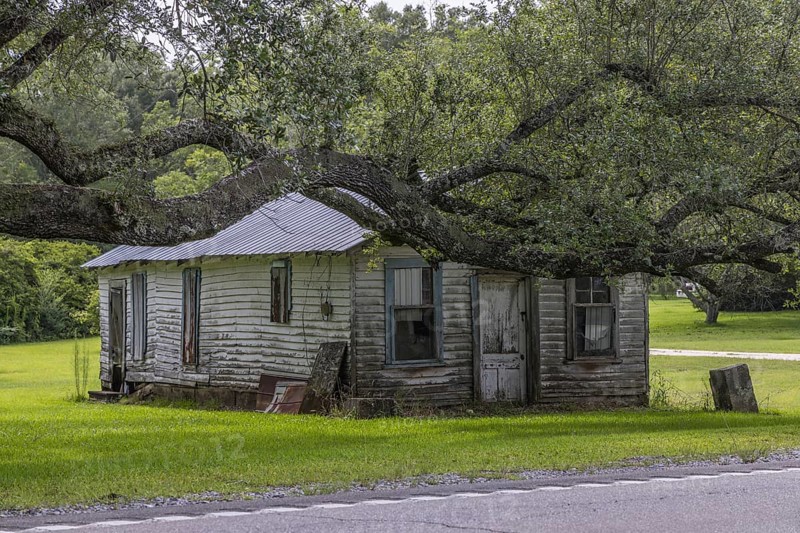 Old abandoned house behind an ancient Live Oak tree along Highway 53 in Harrison County, Mississippi