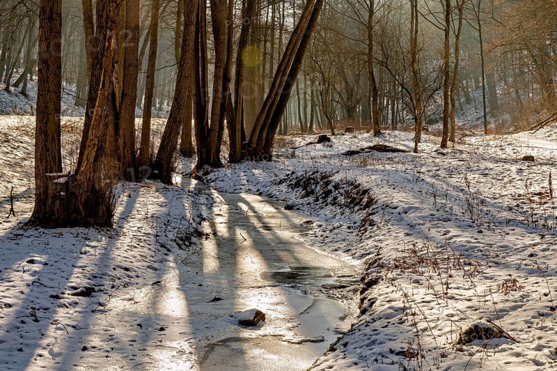 Snow-covered stream in the forest, illuminated by the sun's rays, The Dragon Gorge near Eisenach in Thuringia