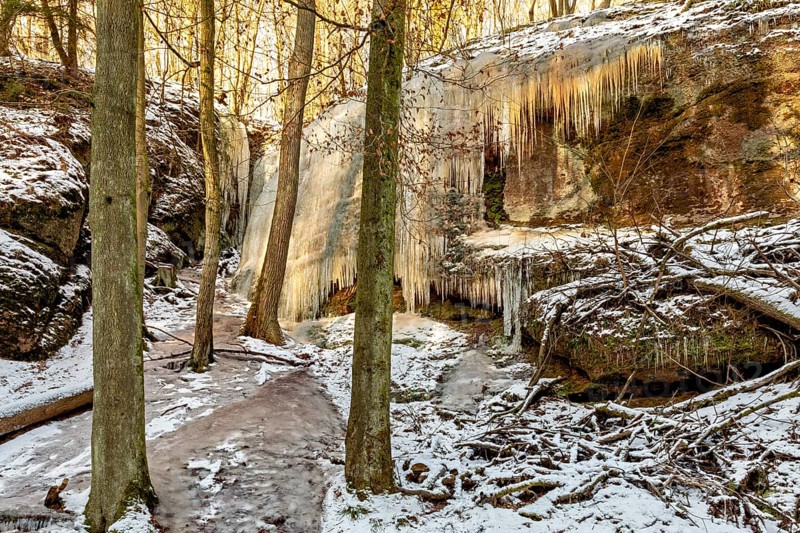 Frozen waterfall on a rock face in a snow-covered winter forest, surrounded by tall trees, The Dragon Gorge near Eisenach in Thuringia