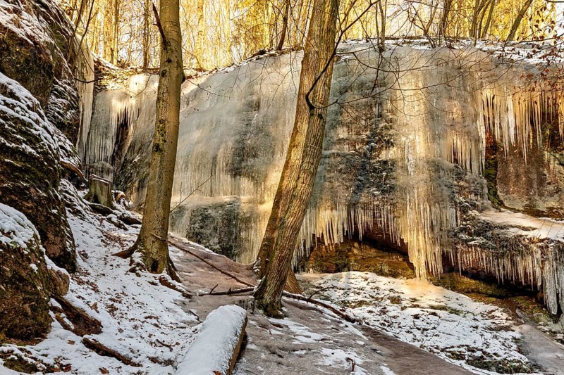 Large frozen waterfall between snow-covered trees in a wintry forest landscape, The Dragon Gorge near Eisenach in Thuringia