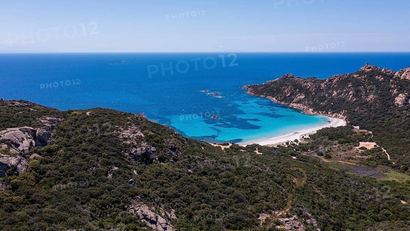 Plage de Roccapina, turquoise sea, book, sandy beach, Corsica, France