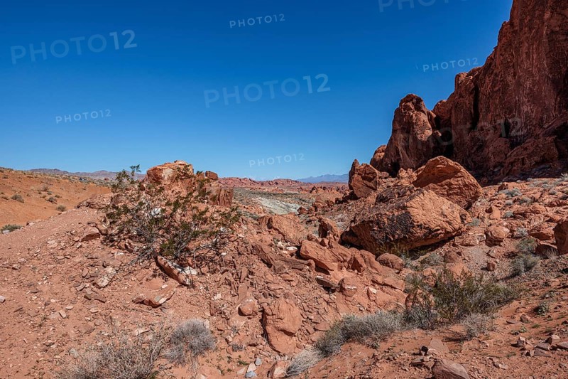 Sandstone rock formations along the Fire Wave Trail at Valley of Fire State Park near Overton, Nevada
