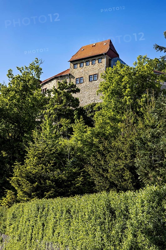 A historic castle rises above a dense forest landscape with a clear sky, Creuzburg Castle in Thuringia
