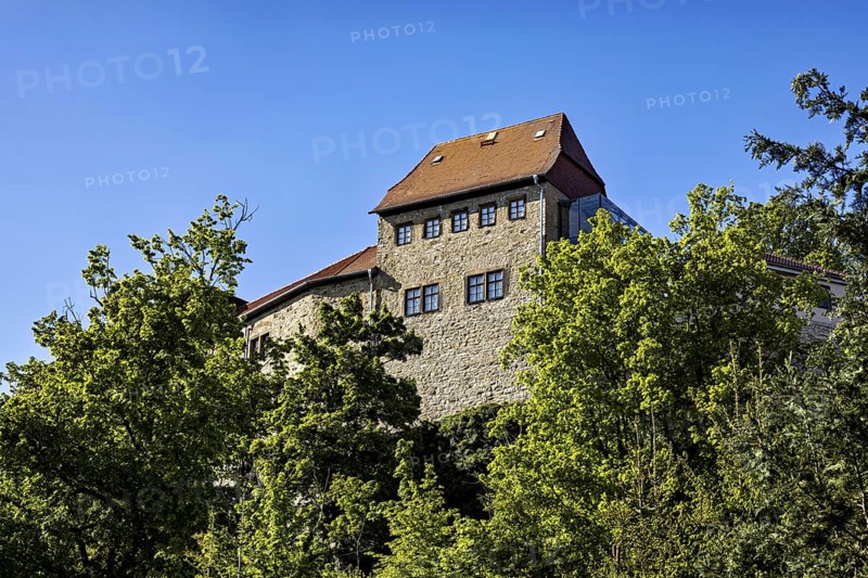 Part of the castle shows through trees, with massive stone walls under a clear sky, The Creuzburg in Thuringia