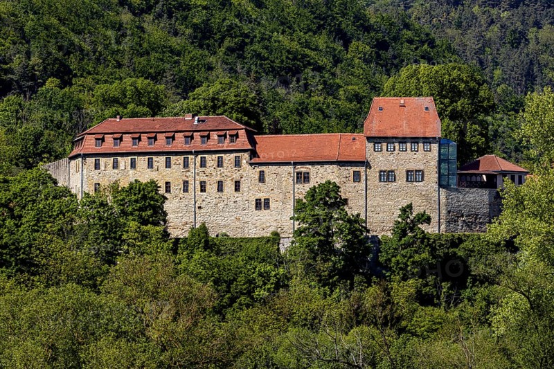 An impressive castle surrounded by dense forest and trees under a clear blue sky, Creuzburg Castle in Thuringia