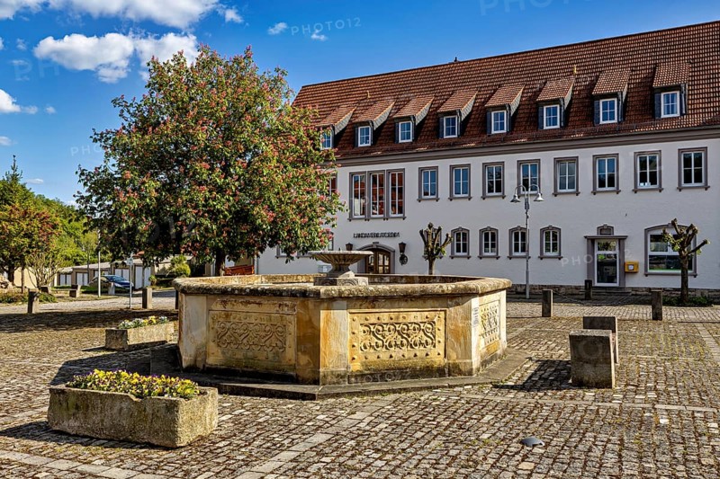 Fountain on a cobbled square in front of a historic building with a red roof and flowering tree, The market fountain of Creuzburg in Thuringia