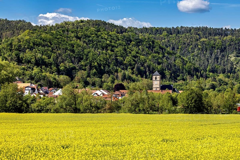 Wide yellow fields in front of a village with a church tower, surrounded by forests and hills, The church tower of the Protestant church of Creuzburg in Thuringia