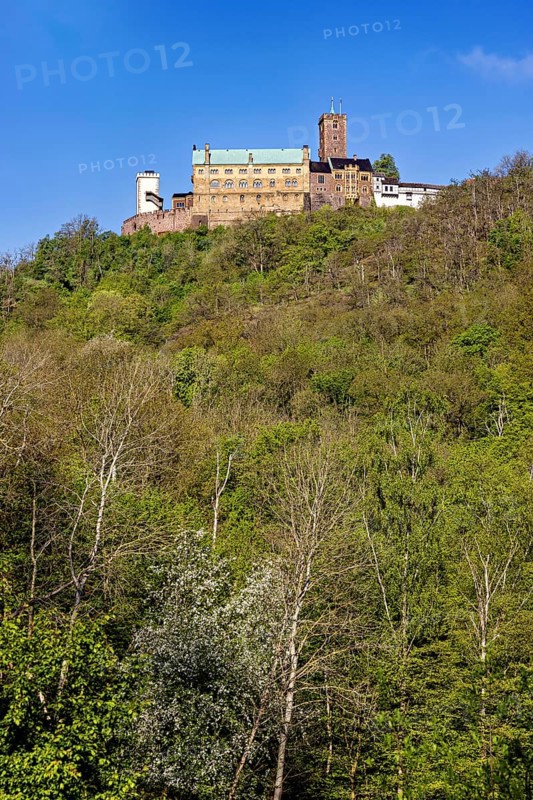 Castle on a high, wooded hill under a clear sky, Wartburg Castle near Eisenach in Thuringia