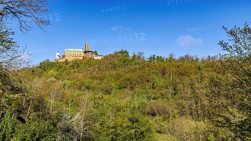 Wide view over wooded hill with castle in the background, The Wartburg near Eisenach in Thuringia