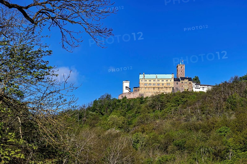 Castle enthroned on a wooded hill under a bright blue sky, Wartburg Castle near Eisenach in Thuringia