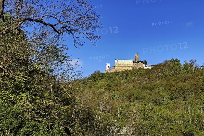 Castle overlooking dense forest, surrounded by blue sky, Wartburg Castle near Eisenach in Thuringia