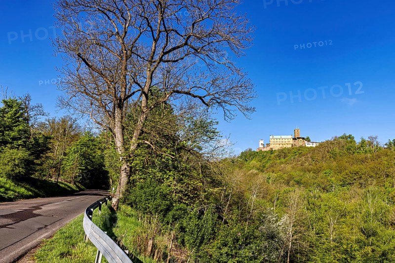 Castle in the distance, next to a winding road, surrounded by trees, The Wartburg near Eisenach in Thuringia