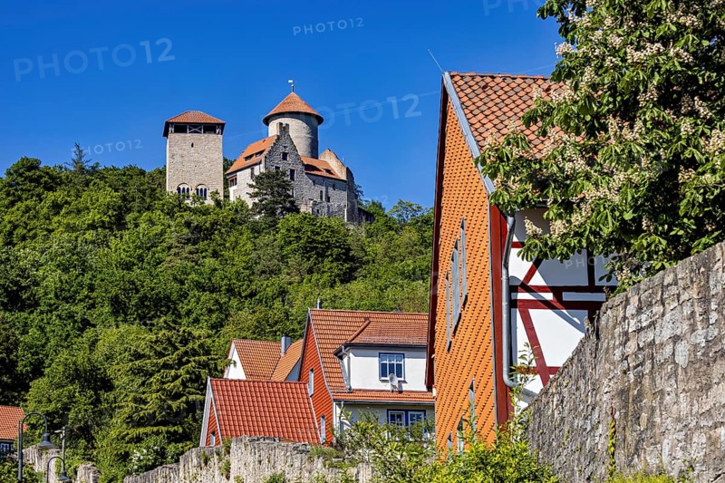 View of a village with red roofs, half-timbered houses and a castle in the background on a hill, Normannstein Castle near Treffurt in Thuringia