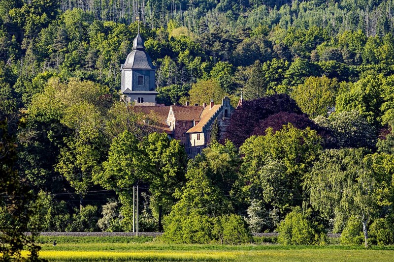 A church in the middle of a dense forest on a sunny day, The church tower of the castle church of Herleshausen in Hesse