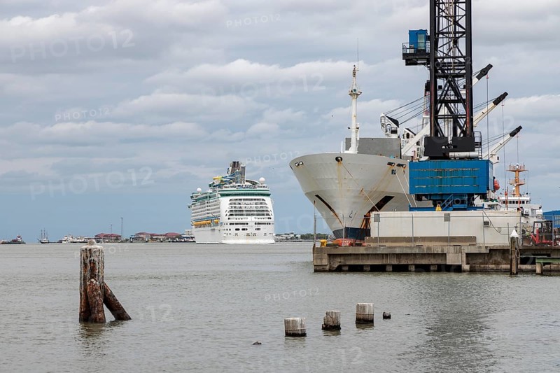 Royal Caribbean Adventure of the Seas cruise ship and a cargo ship at the Port of Glaveston, Texas