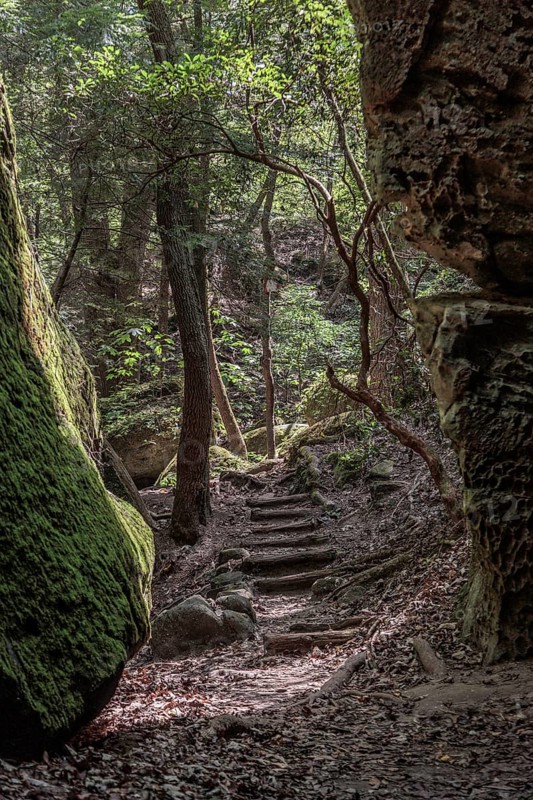Timber formed stairs between rock formations along a hiking trail through Dismals Canyon near Phil Campbell, Alabama, USA