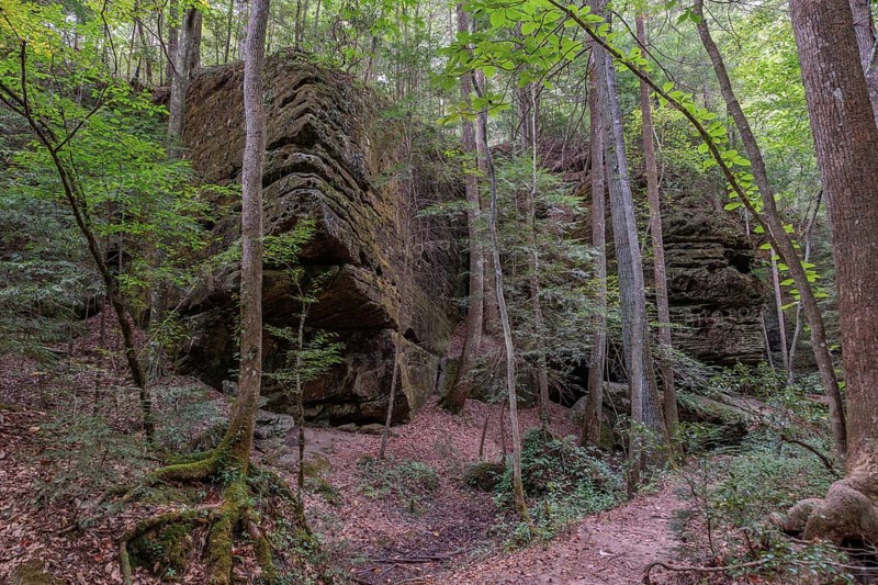 Trees growing between rock formations along a hiking trail through Dismals Canyon near Phil Campbell, Alabama, USA